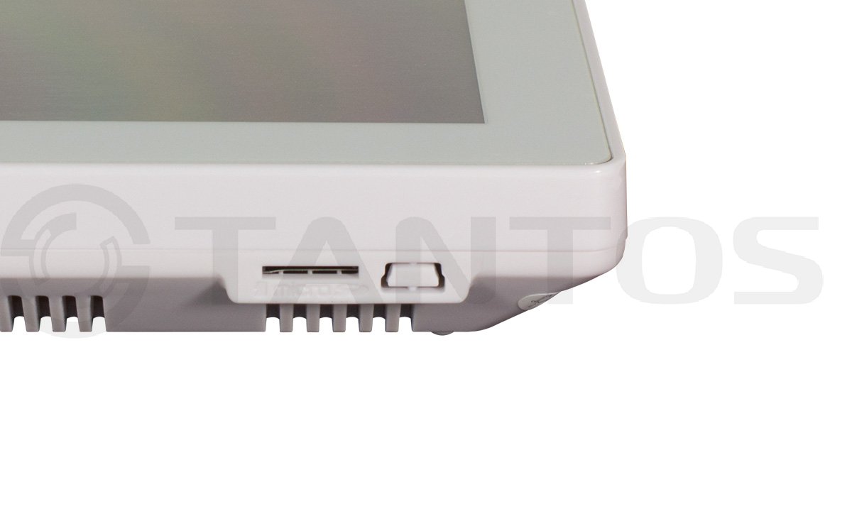 Дополнительный монитор  Tantos Violet