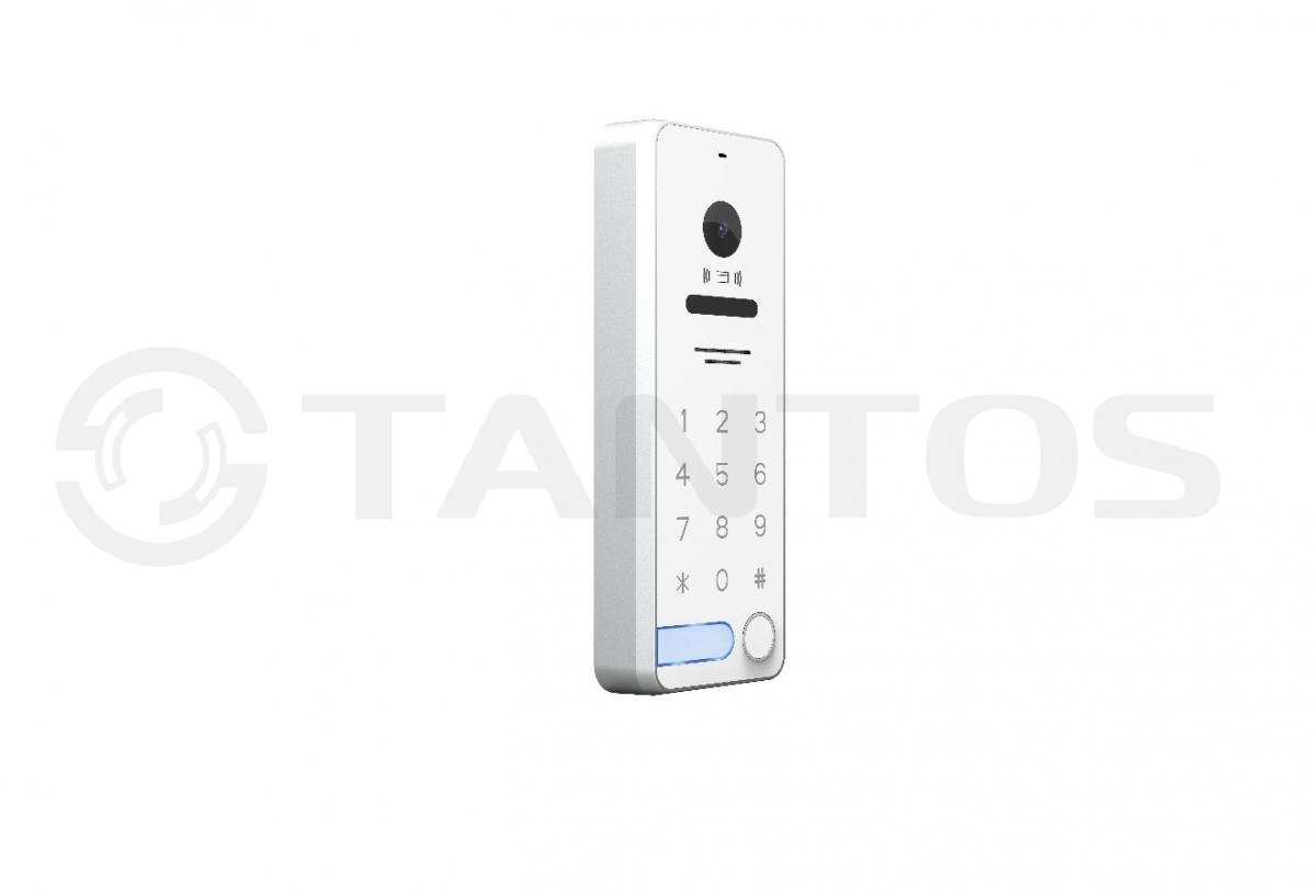 Вызывная панель формата AHD  Tantos IPanel 2 WG EM KBD HD